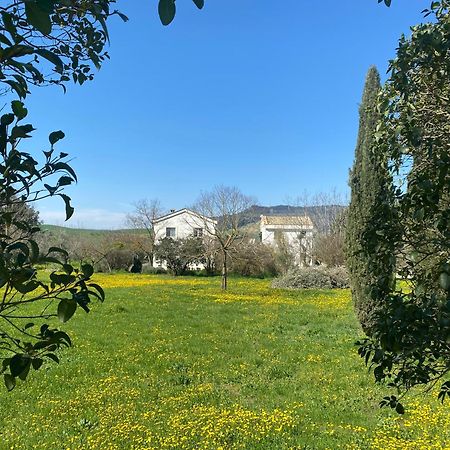 Agriturismo Colle Igino Matera Exteriör bild