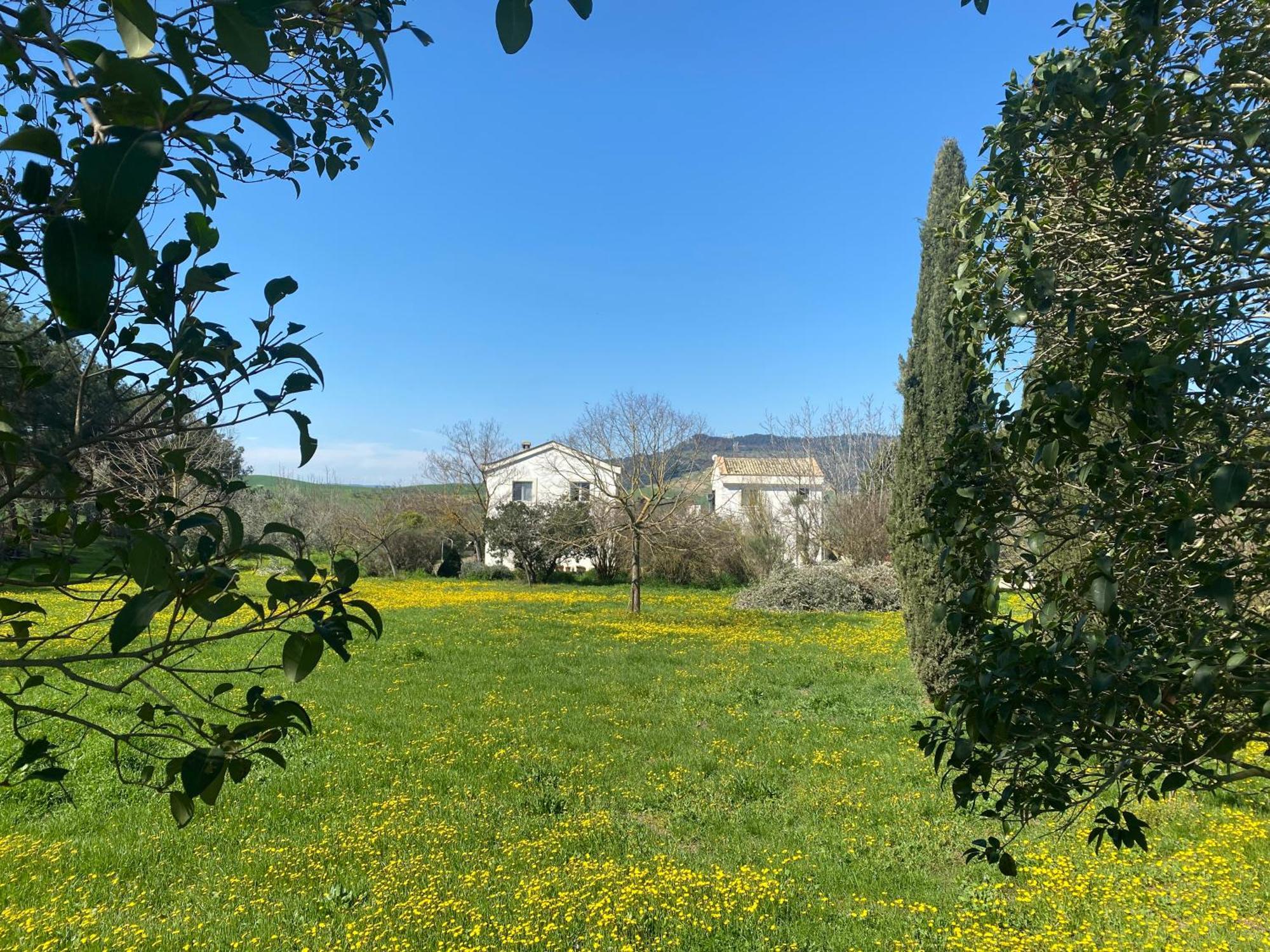 Agriturismo Colle Igino Matera Exteriör bild